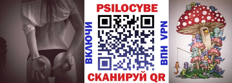 дарнет шоп Ростов-на-Дону мега tor Галлюциногенные грибы прущие грибы
