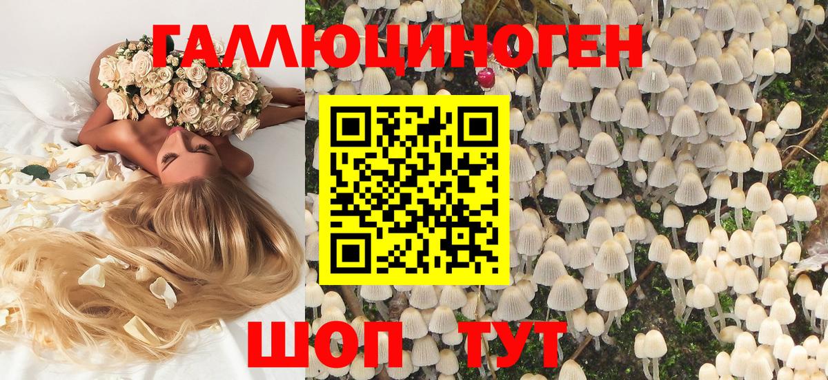 Ростов-на-Дону  Галлюциногенные грибы ЛСД  Вход с VPN 